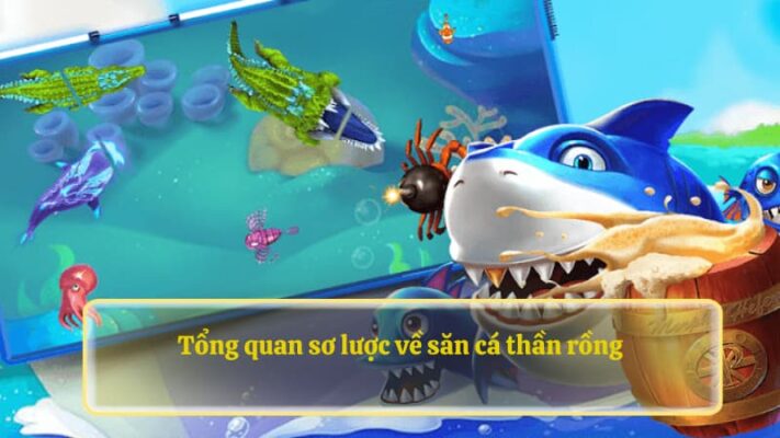 Tổng quan sơ lược về săn cá thần rồng 