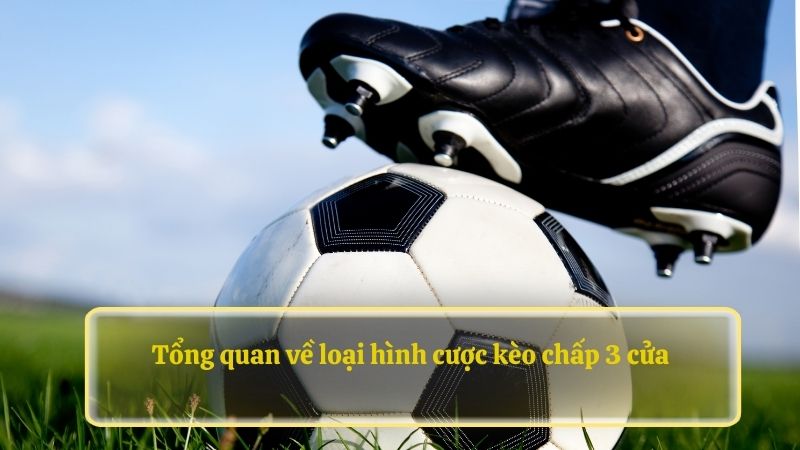 Tổng quan về loại hình cược kèo chấp 3 của 79KING