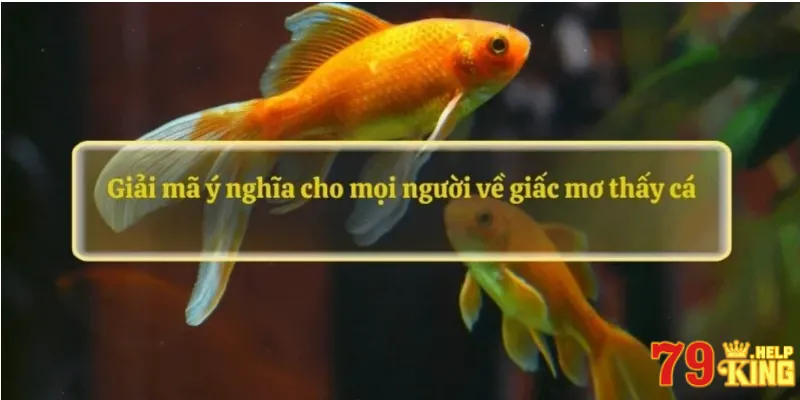 Giải mã ý nghĩa cho mọi người về giấc mơ thấy cá