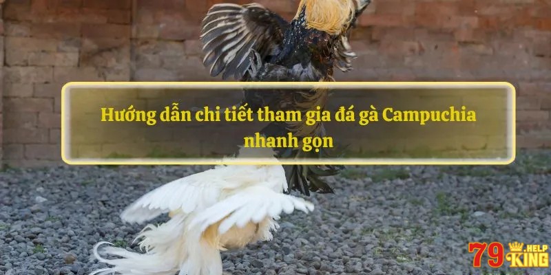 Hướng dẫn chi tiết tham gia đá gà Campuchia nhanh gọn