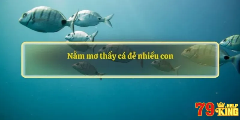 Nằm mơ thấy cá đẻ nhiều con